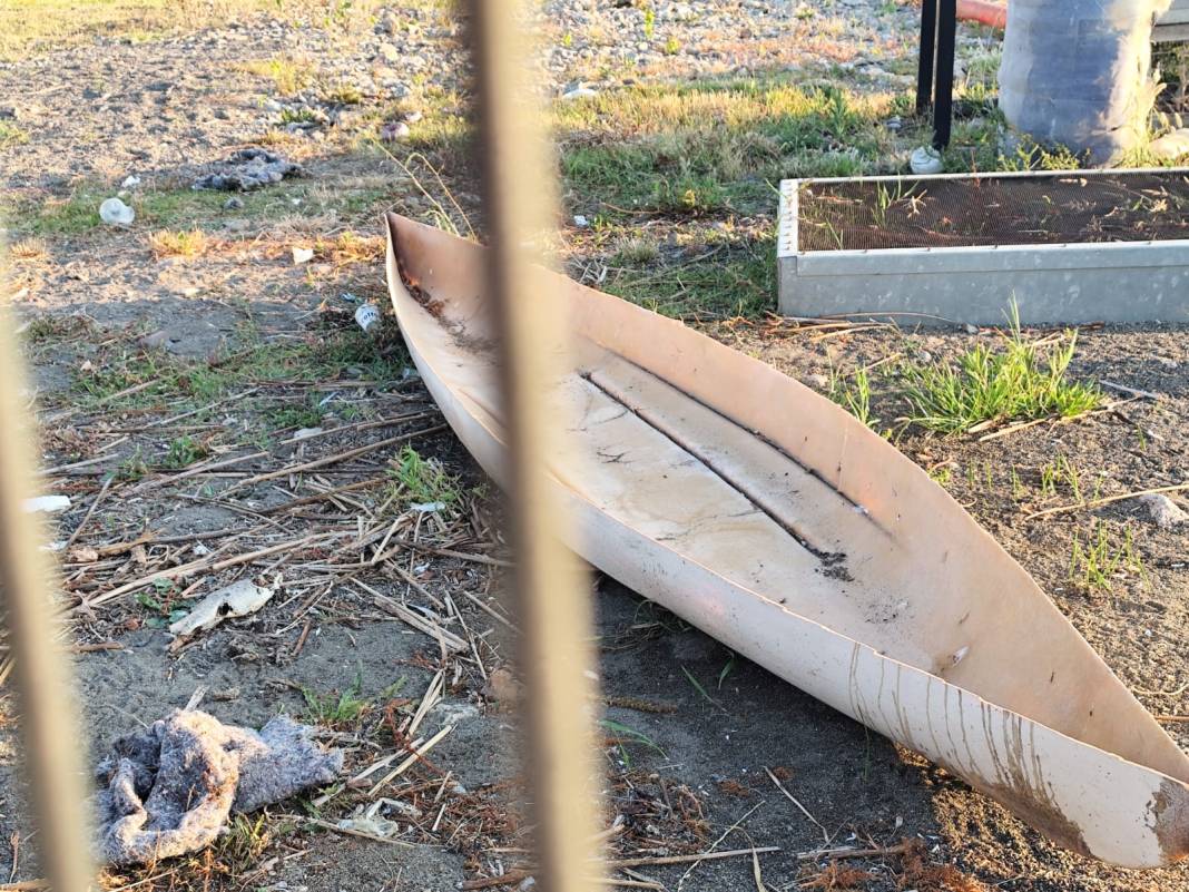 İznik Gölü kıyısında tedirgin eden manzara! Ölü balıklar endişe yarattı: Görüntüler turistleri şaşkına çevirdi 3